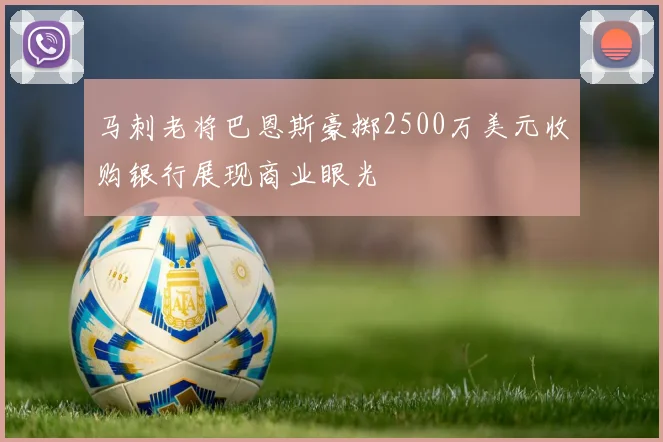 马刺老将巴恩斯豪掷2500万美元收购银行展现商业眼光