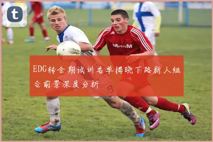 EDG转会期试训名单揭晓下路新人组合前景深度分析